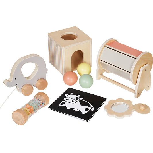 6-in-1 Sensory Toy Set Wooden Montessori Toys for Baby Newborns